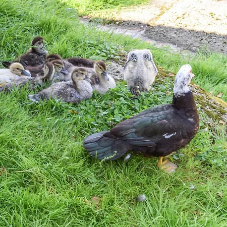 Tatil Evi Stunning In Kana With Kitchen Sand (Rogaland)