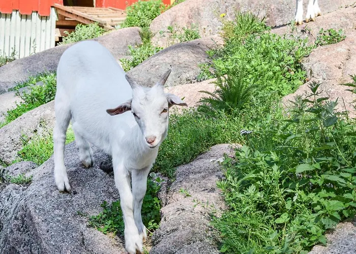 Stunning In Kana With Kitchen