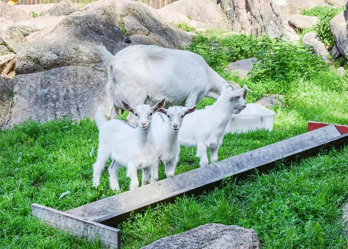 Feriehus Stunning In Kana With Kitchen Sand (Rogaland)